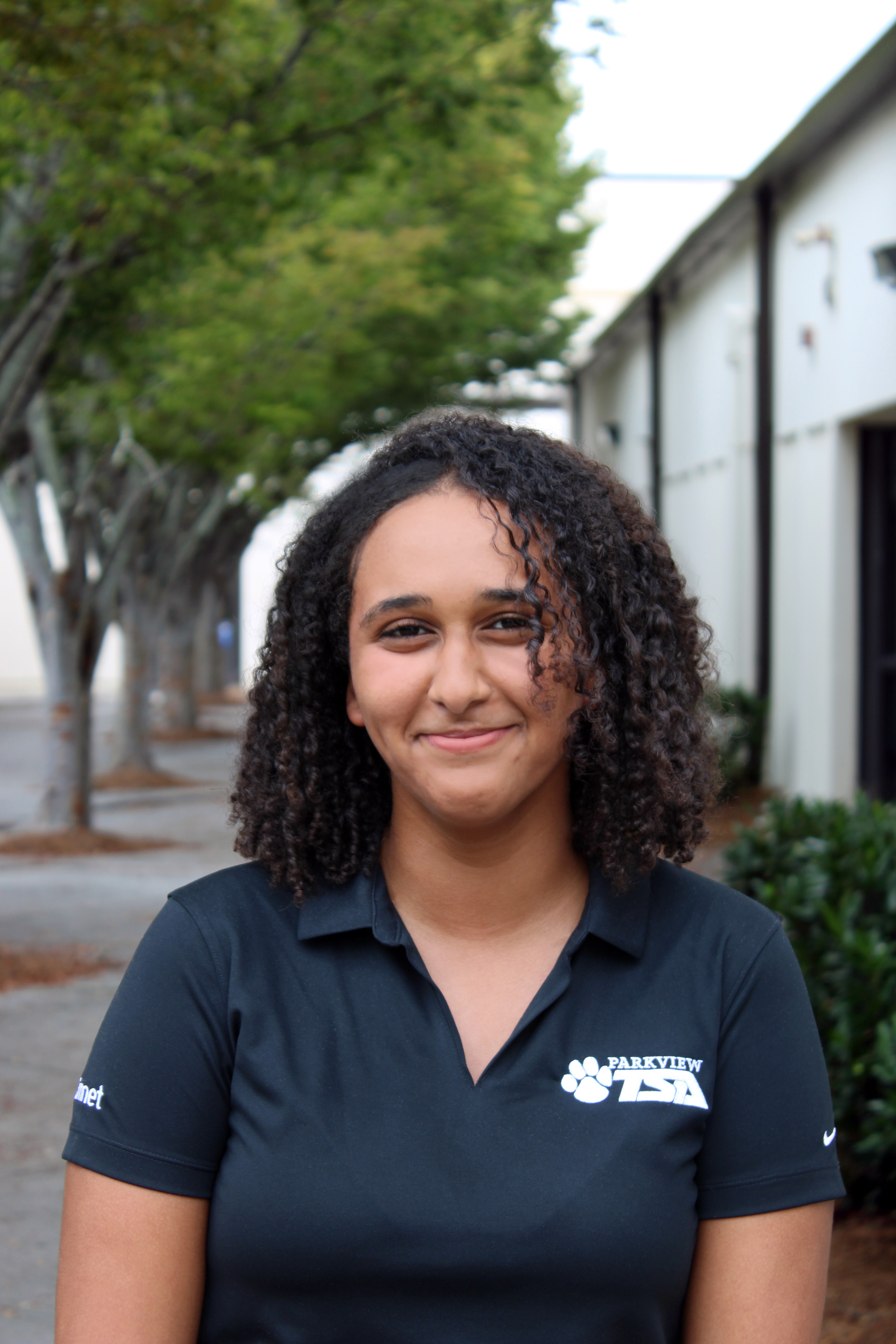 Emnet - Parliamentarian